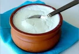 Plain Curd